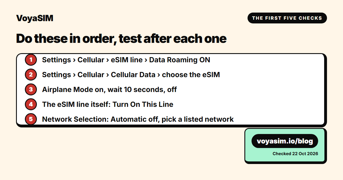 The first five checks as a list: data roaming, cellular data line, airplane mode, line on, network selection